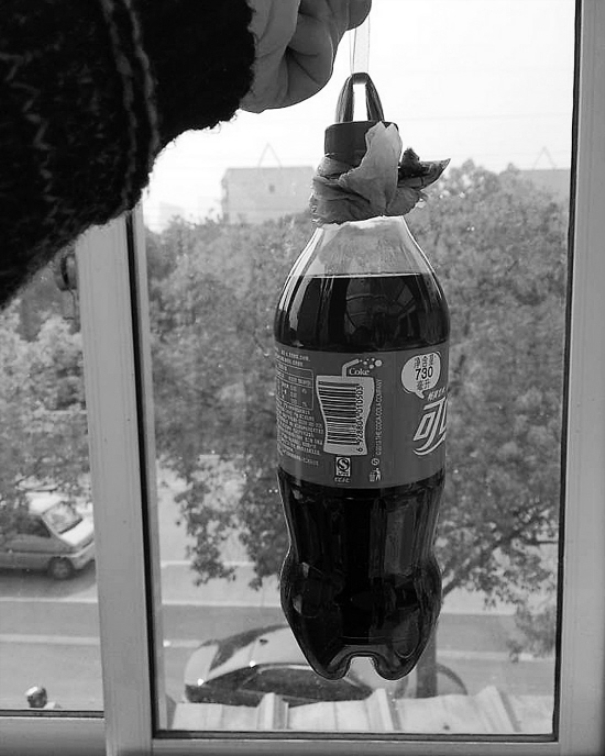 一根粉條提起可樂 一根粉條提起可樂