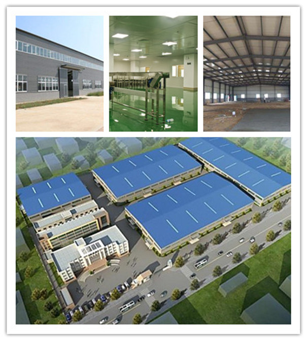 粉條廠-廠房建設 粉條廠-廠房建設